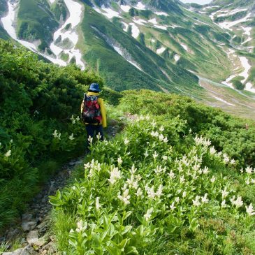 2020年〜2022年の登山ダイジェスト